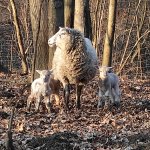 phoca_thumb_m_m.r 2 Fotogalerie